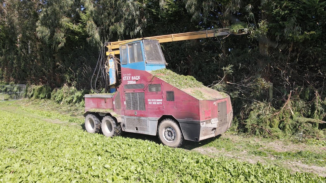 Hedge Trimmer At Work... Clean Up Time.