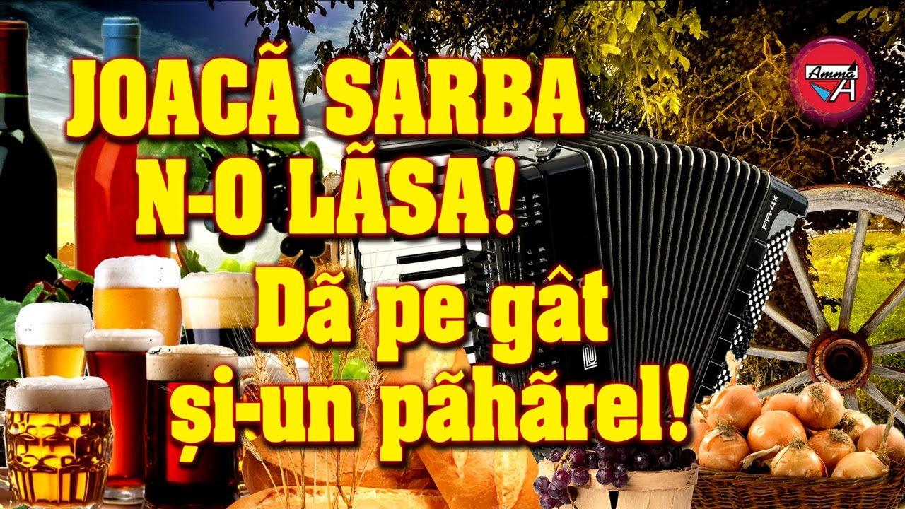 PETRECERE - JOACĂ SÂRBA, N-O LĂSA, DĂ PE GÂT ŞI-UN PĂHĂREL, TRĂIEŞTE-ŢI VIAŢA NIŢEL!!!