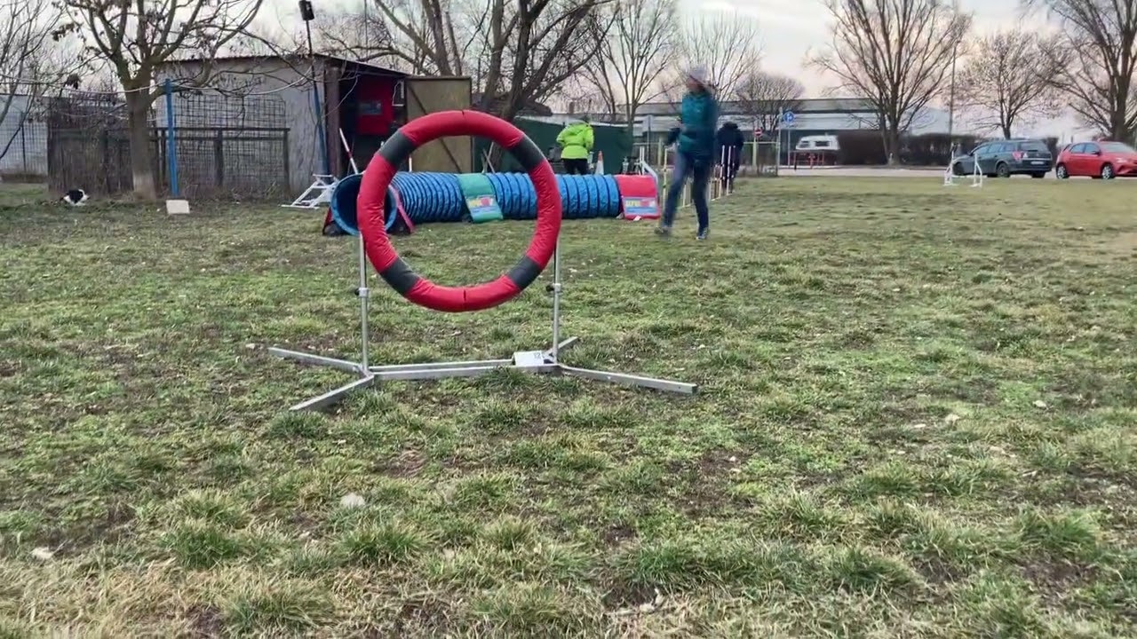 Szentendre Agility oktat&aacute;s