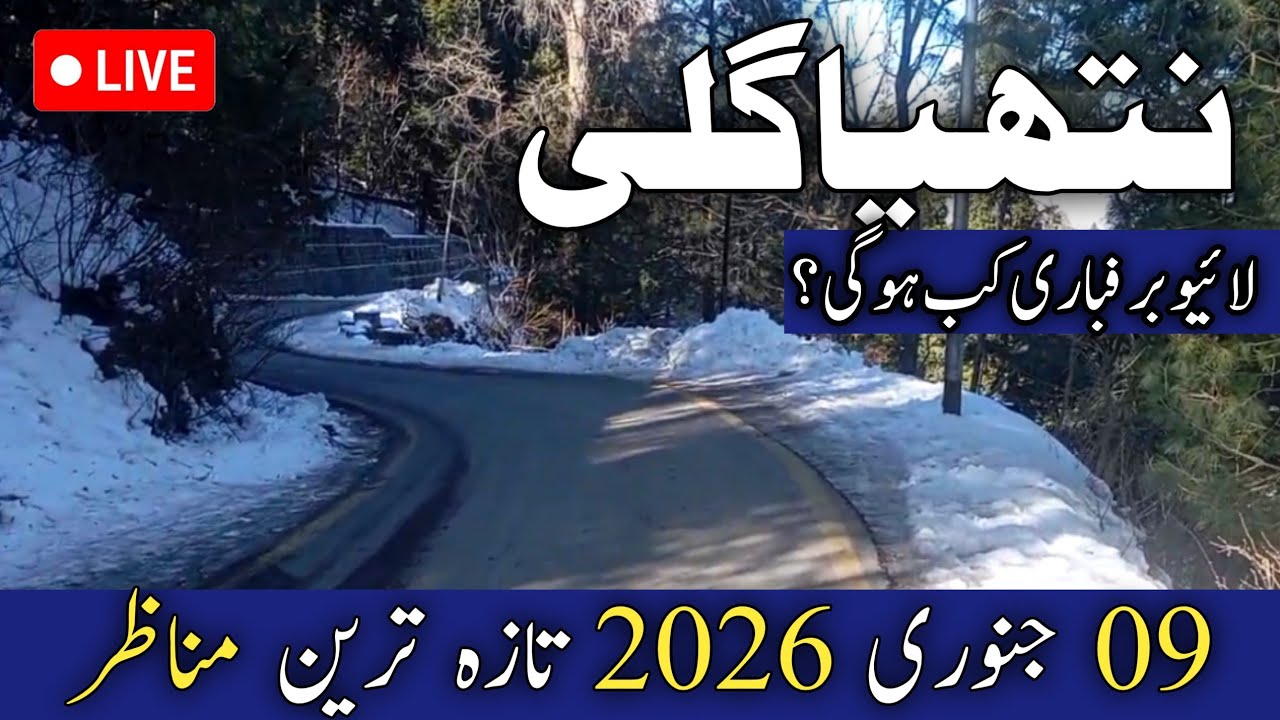 Nathiagali live today | murree nathiagali snowfall | when next snowfall in murree nathiagali