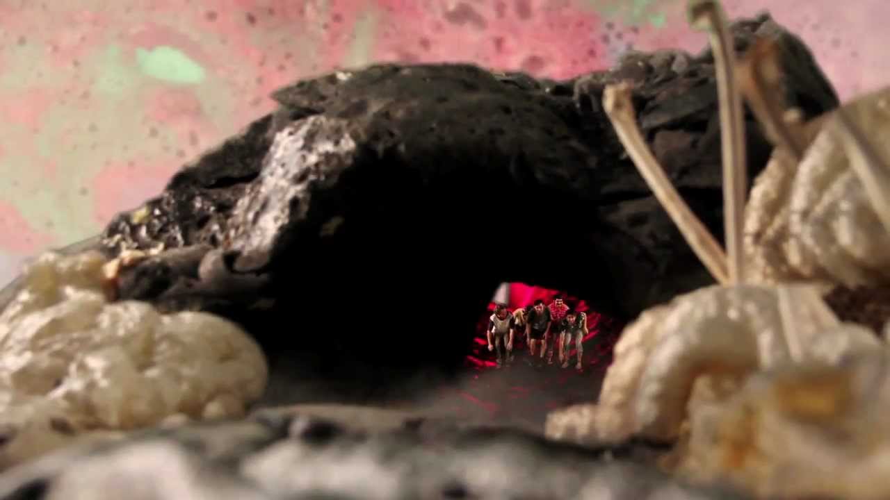Protistas - Videocámara