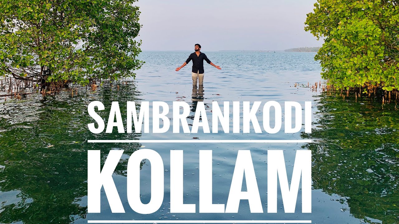 Sambranikkodi |അഷ്ടമുടിക്കായലിന്റെ നടുക്ക് നിക്കണോ ? #sambranikkodi #mangroov #kollamtourism #yathra