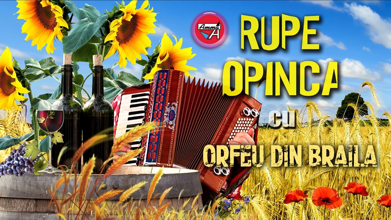 PETRECERE - AŞA SE JOACĂ ROMÂNEŞTE...HAI ŞI RUPE OPINCA CU ORFEU DIN BRĂILA