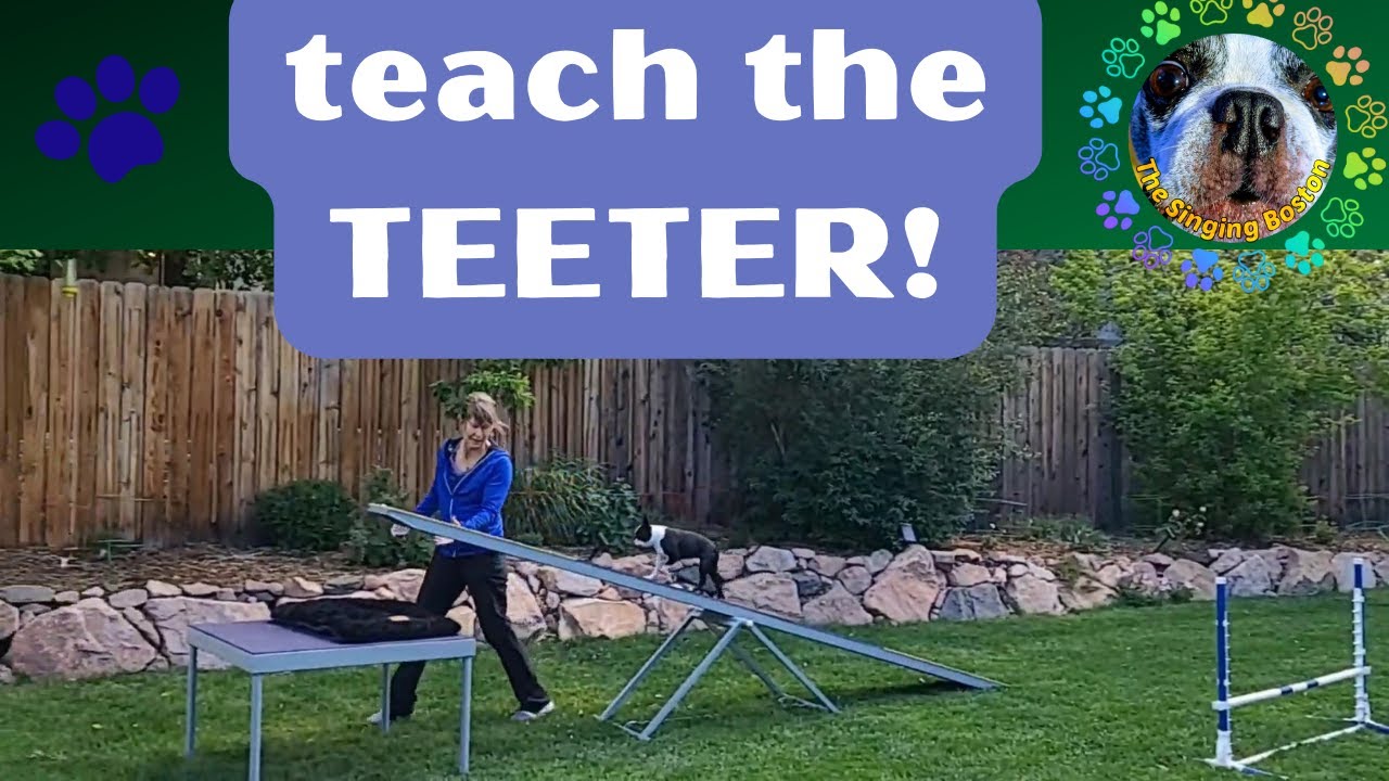 Teach your dog a JOYFUL agility teeter!