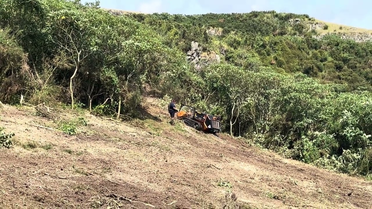 Steep slope Land Clearing 