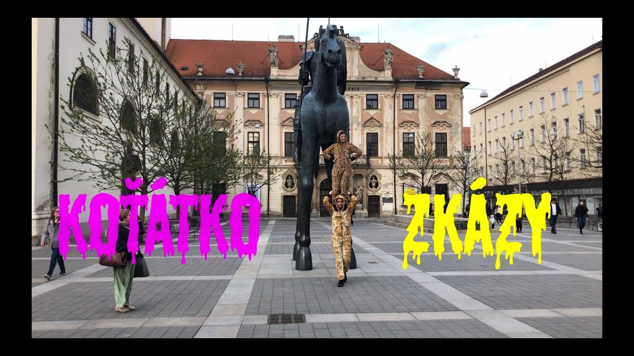 Koťátko v BRNĚ