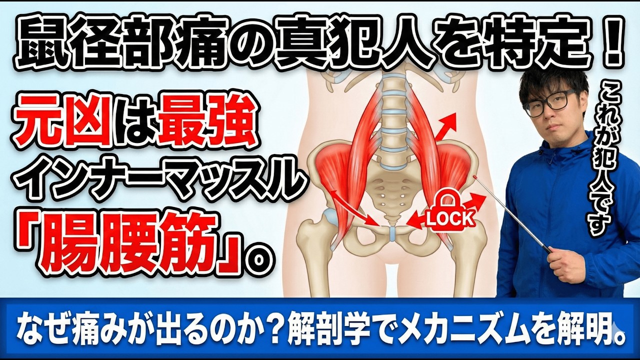 【股関節】曲げると詰まるのはなぜ？「鼠径部痛」を引き起こす骨頭の前方偏位とインピンジメント
