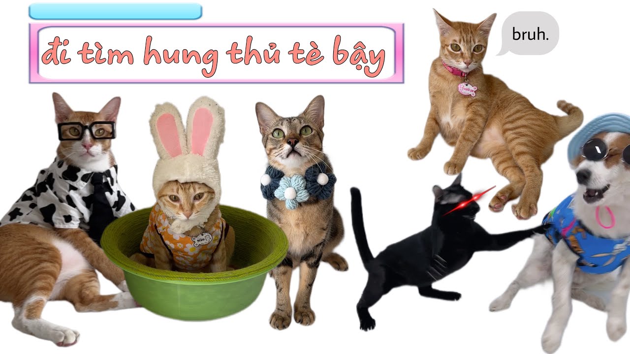 Đi tìm hung thủ tè bậy, tui thành út khờ lúc nào không hay