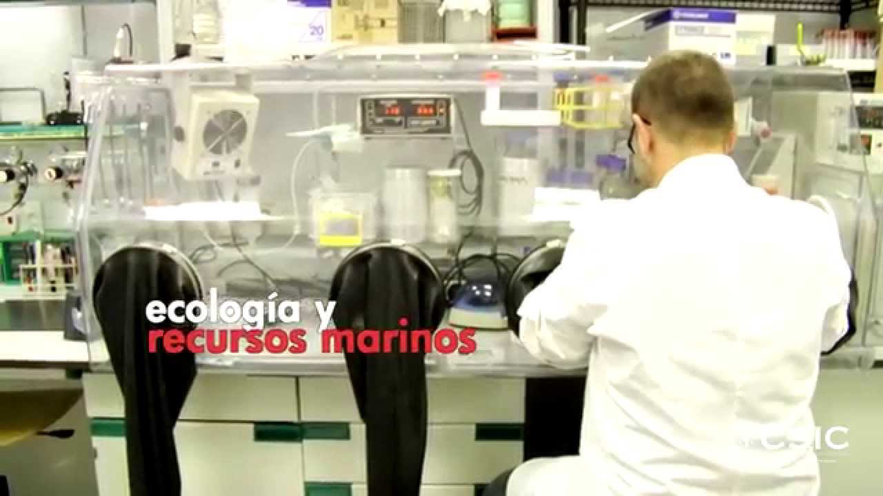 Video corporativo IMEDEA (CSIC-UIB)