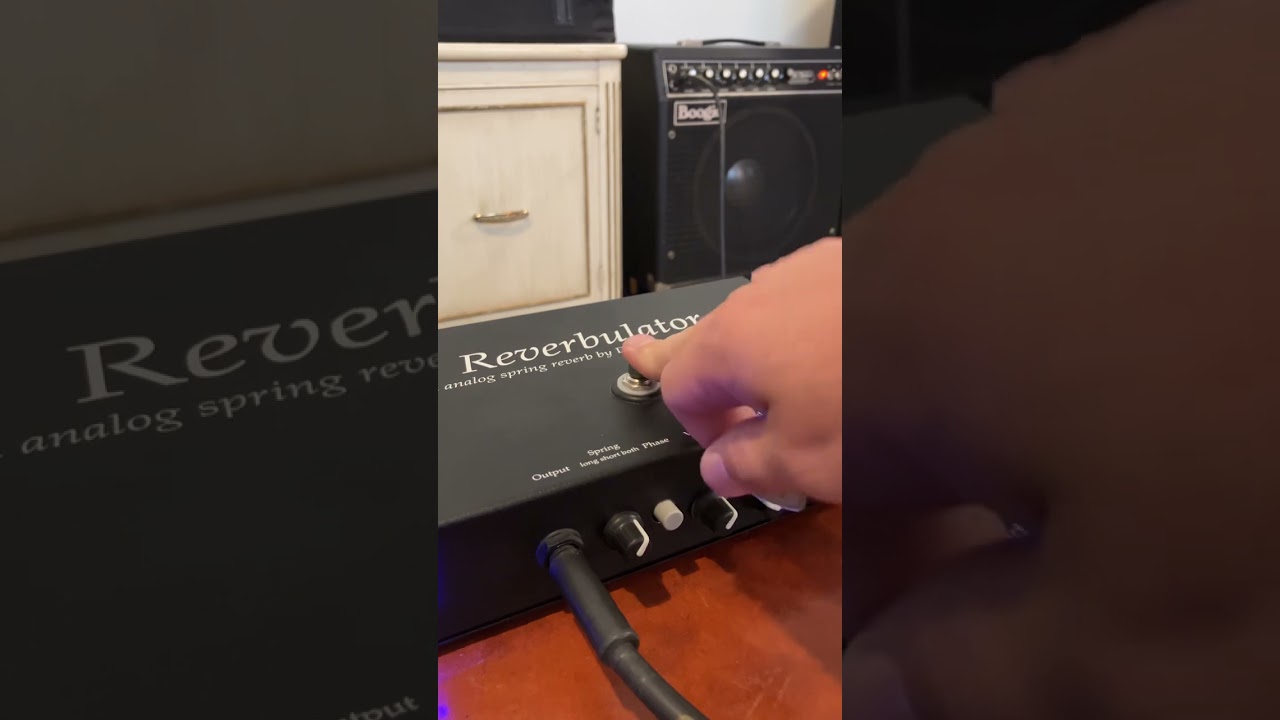 Demeter Reverbulator with Stratocaster