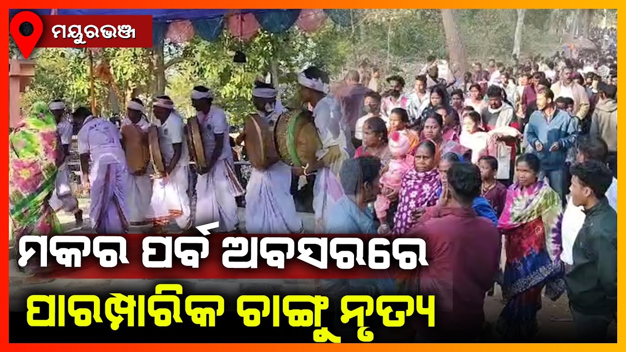 ମକର ପର୍ବ ଅବସରରେ ପାରମ୍ପରିକ ଚାଙ୍ଗୁ ନୃତ୍ୟ || MAYURBHANJ NEWS