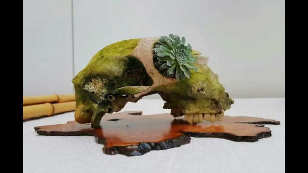 Bonsai Galeria Nishikiten 2015