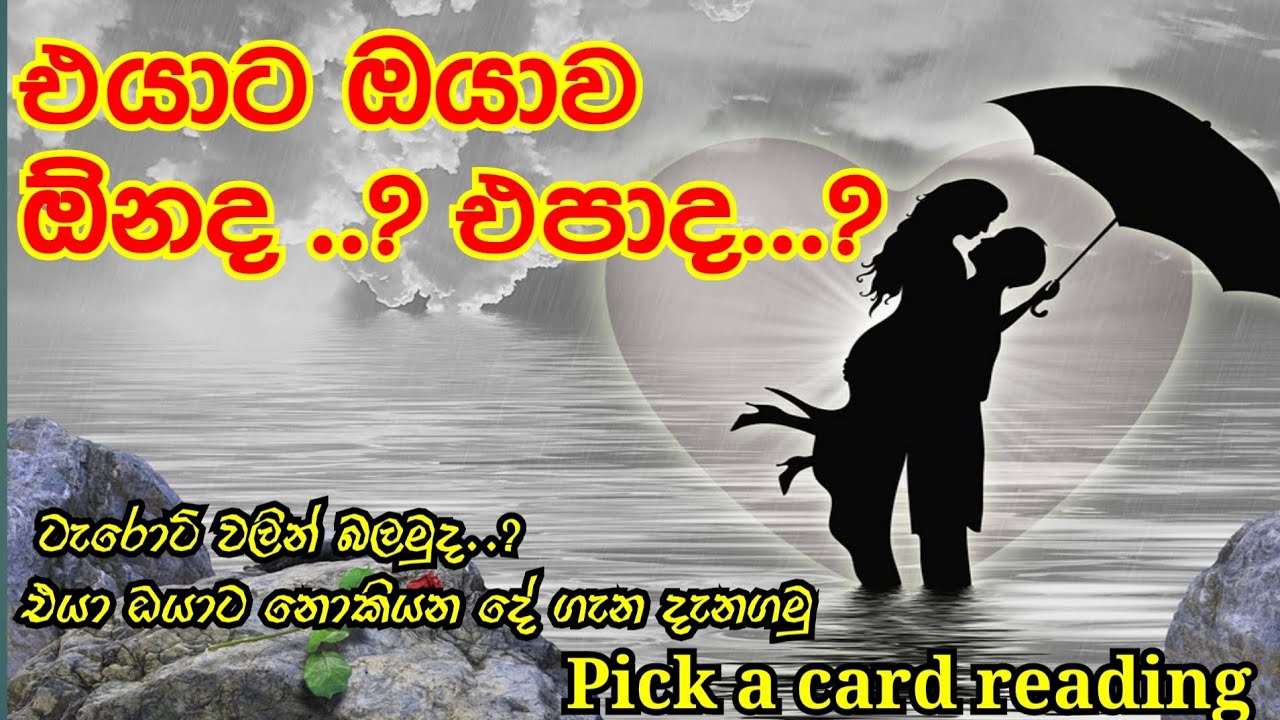 එයාට ඔයාව ඕනද..? එපාද..?(Pick a card reading )