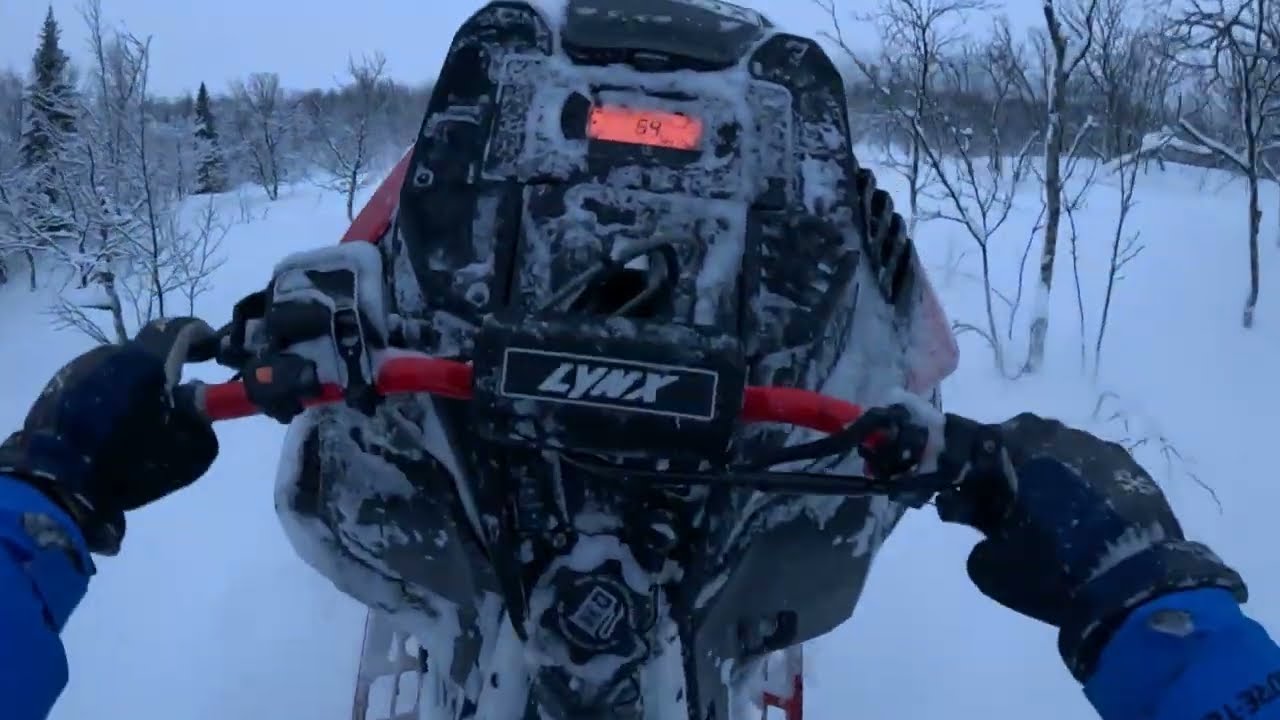 Tree Riding Kittelfjäll day 1! Lynx Shredder Turbo 3700