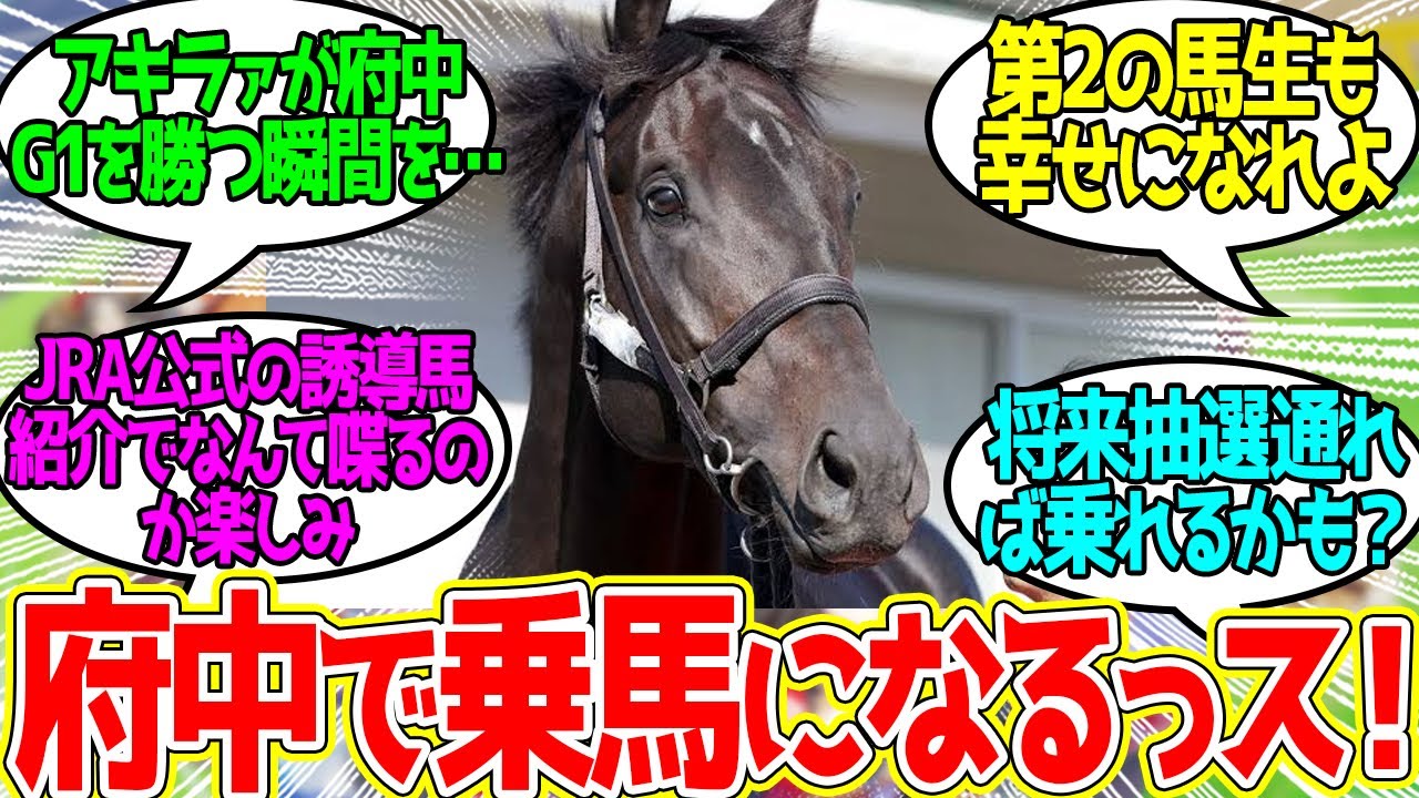 押忍っ！カラテです！に対するみんなの反応！【競馬 の反応集】