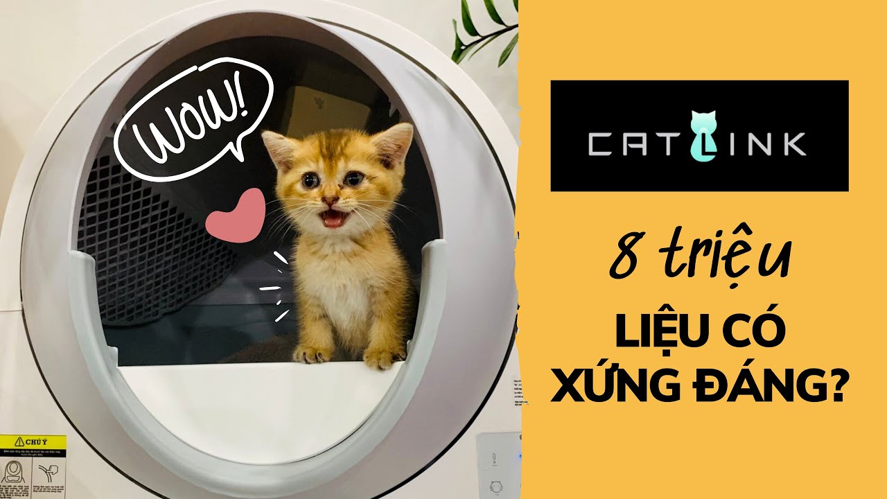 Review Chi Tiết Máy Vệ Sinh Cho Mèo CATLINK 🐱✅