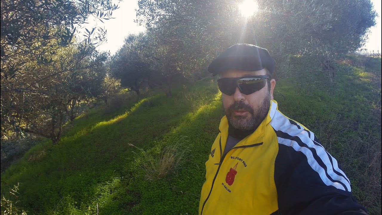 Αυστηρό κλάδεμα κορωνέικης ελιάς