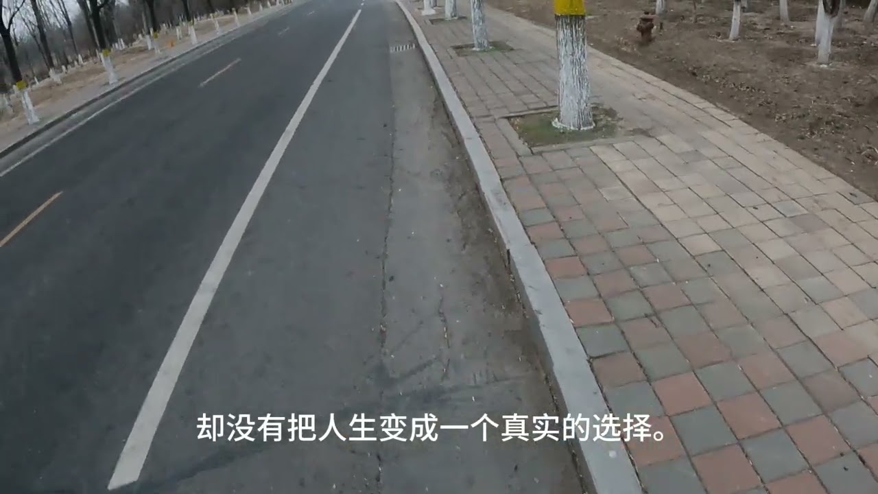 你以为成熟是更聪明，其实成熟是更清醒——晚熟 的人，最后都把代价活明白了