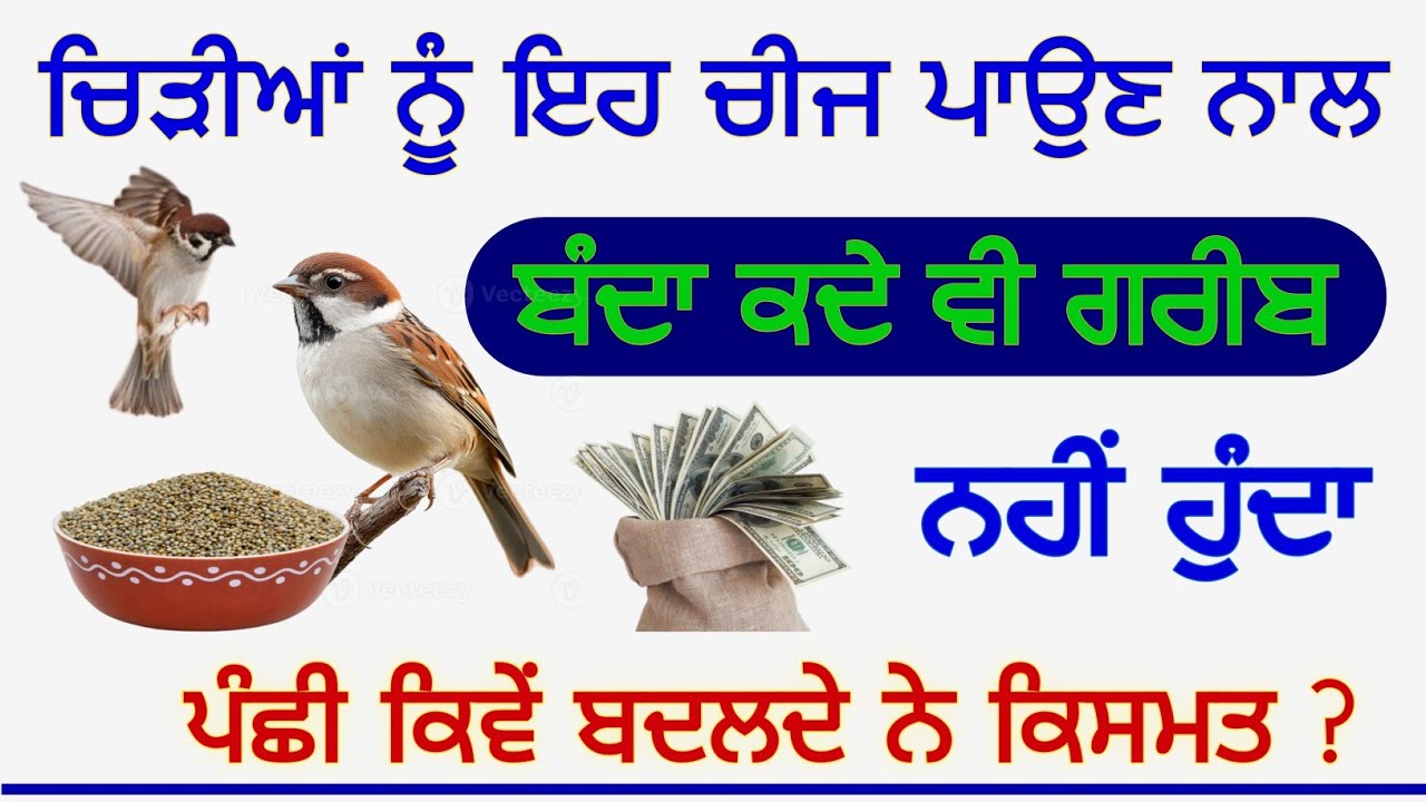 ਚਿੜੀਆਂ ਨੂੰ ਇਹ ਚੀਜ ਪਾਉਣ ਨਾਲ ਬੰਦਾ ਕਦੇ ਵੀ ਗਰੀਬ ਨਹੀਂ ਹੁੰਦਾ ਪੰਛੀ ਕਿਵੇਂ ਬਦਲਦੇ ਨੇ ਕਿਸਮਤ #gurbanivyakhya 