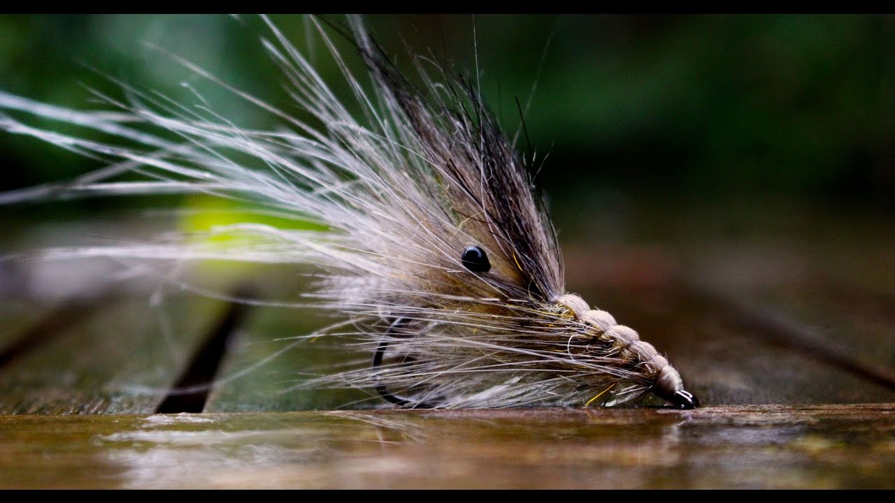 Flytying - Tan Shrimp - TUTORIAL