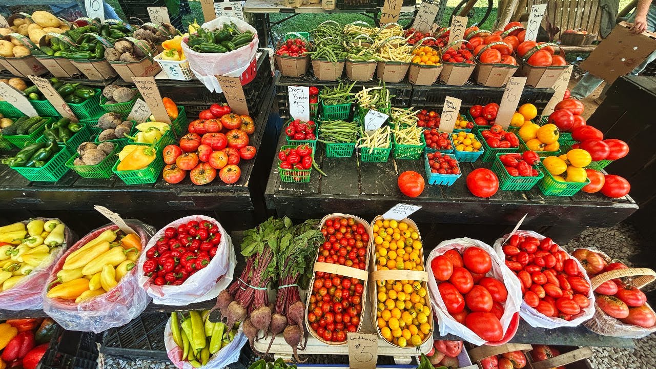 NEW! Romagnoli Farms Market #gallivanting