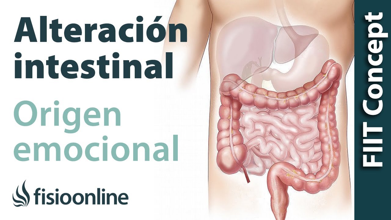 Origen emocional de la disfunción de intestino delgado.