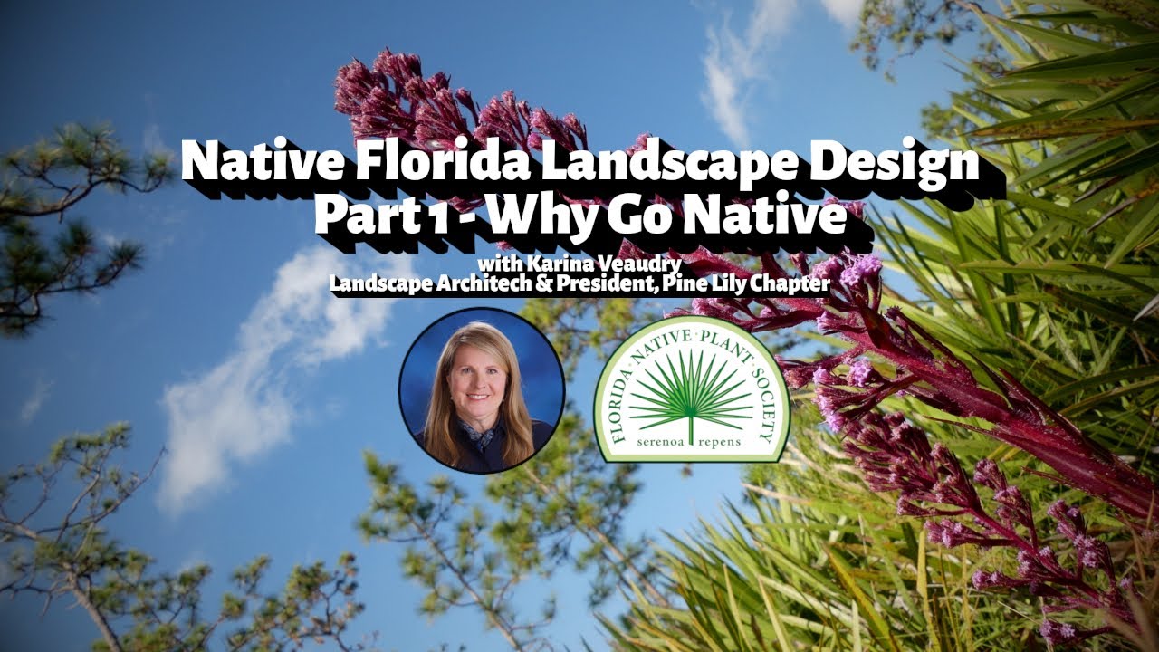 Native Florida Landscape Design Part 1 - Why Go Native with Karina Veaudry