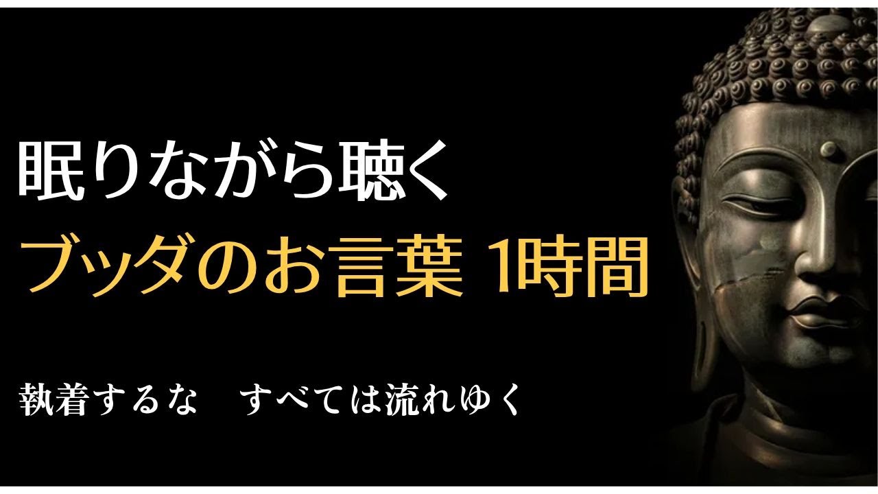眠りながら聴くブッダの名言1時間｜老後を最も幸せに過ごす方法｜流して眠るのにぴったりの話｜毎日聴く仏陀の教え｜仏教｜人生のアドバイス