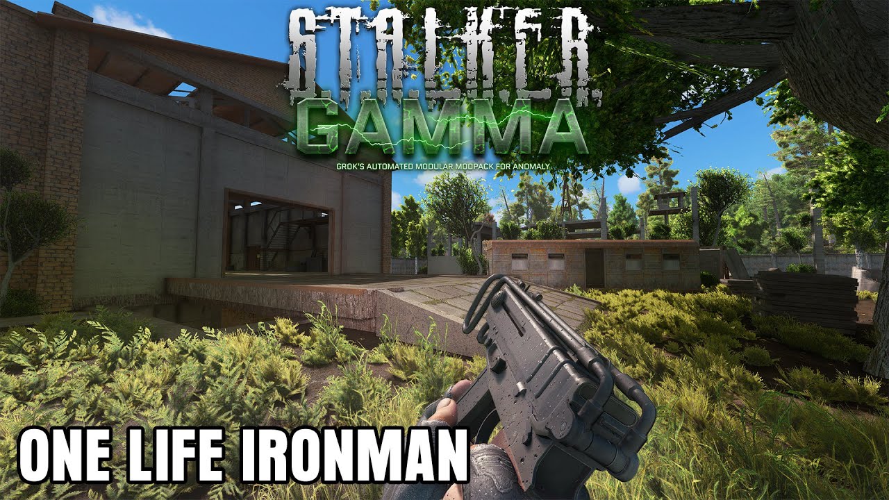 This WILL Be My Run - GAMMA ONE LIFE IRONMAN