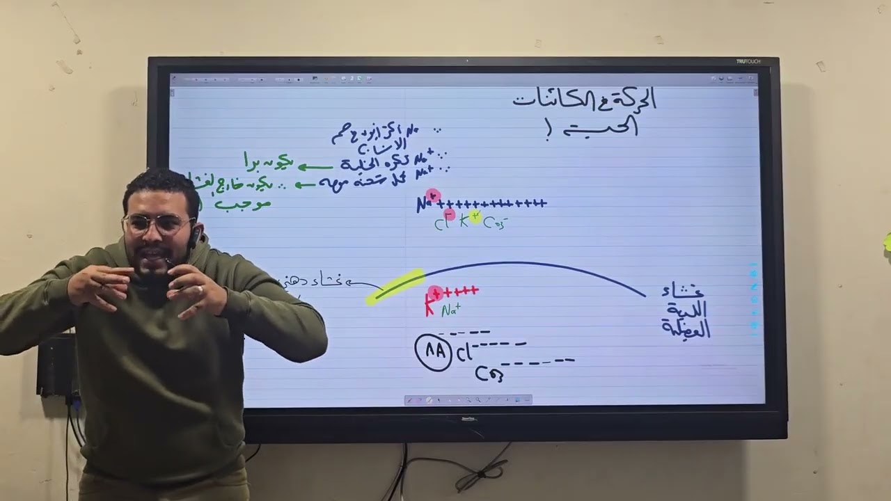 ثاني حركة الكهربية