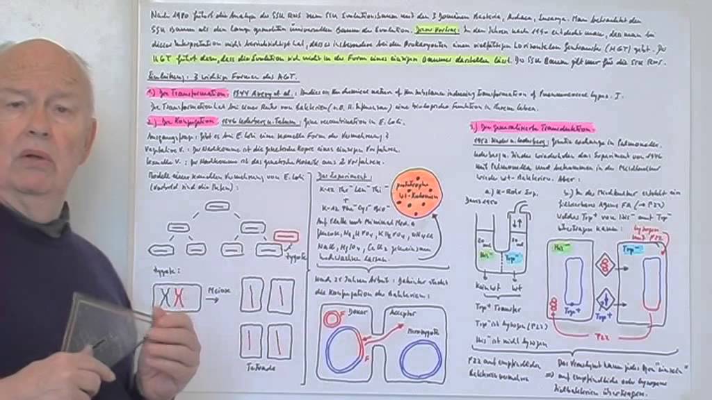 Virologie entdecken X :Die Evolution. X-3:Der horizontale Gentransfer.