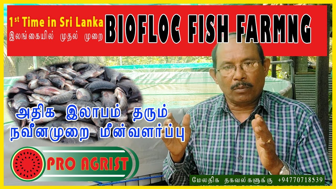 Biofloc Fish Farming | பயோபுளக் | அதிக இலாபம் தரும் நவீன முறை மீன்வளர்ப்பு