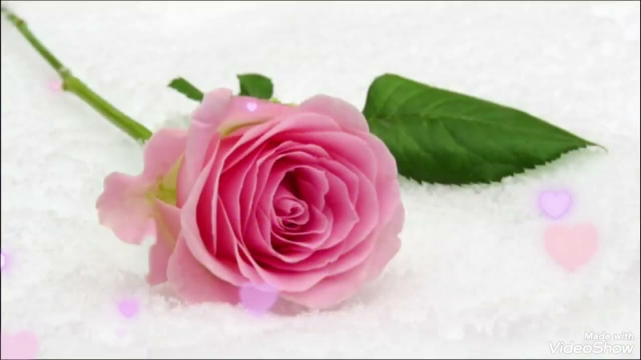 SARIOĞLAN İLE DİNİ SOHBETLER&İMAN EMNİYET& İSLAM SELAMET