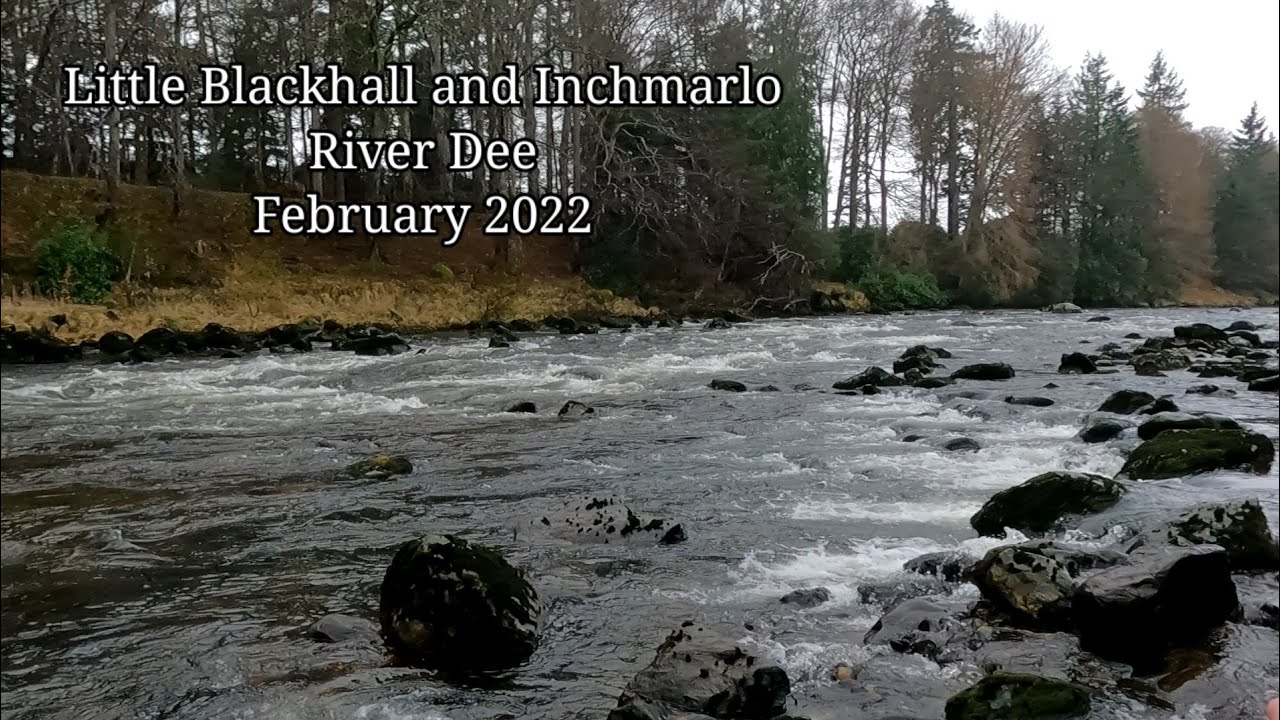 River Dee Salmon Fishing, Little Blackhall and Inchmarlo, February 2022