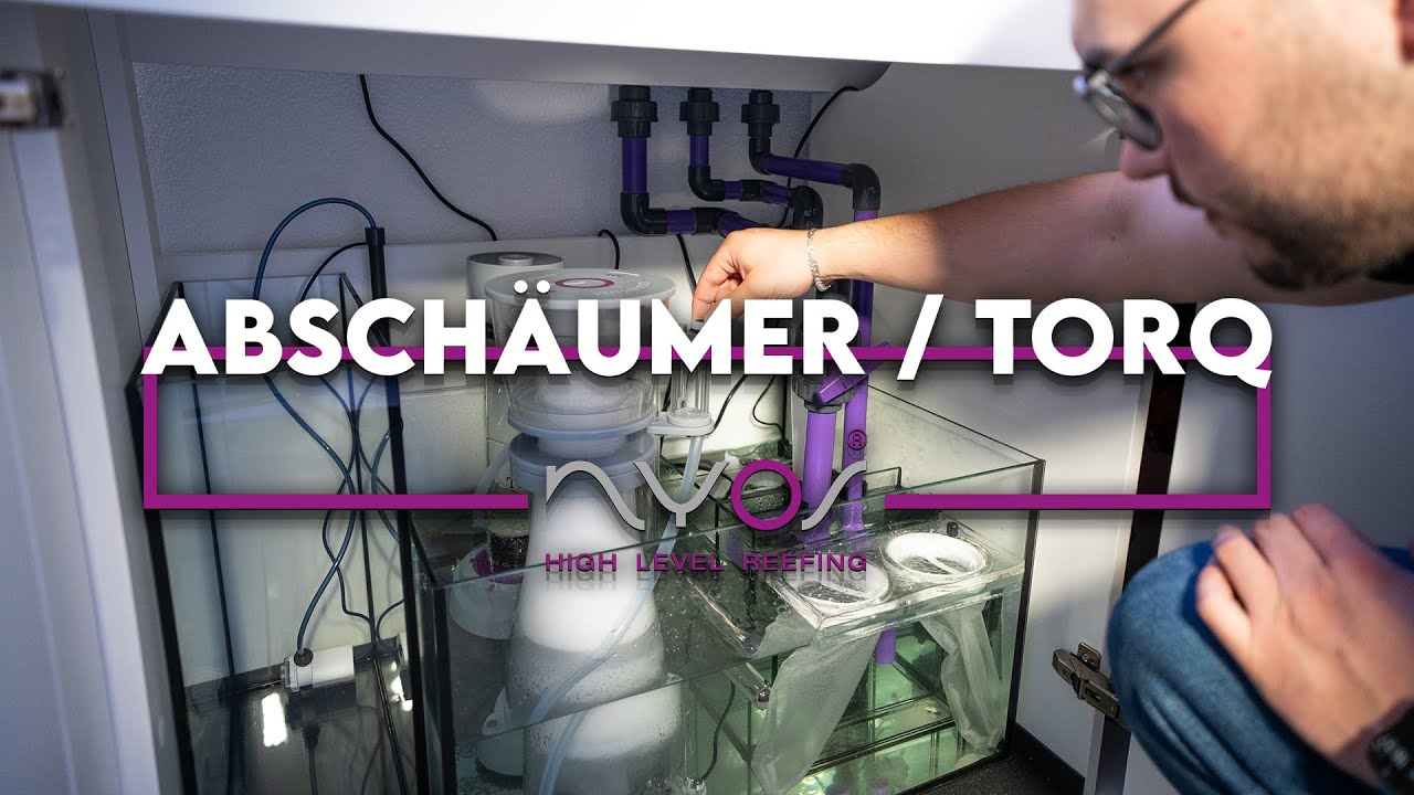 Abschäumer & Filtertechnik - Meerwasseraquarium Beginner Serie von A - Z