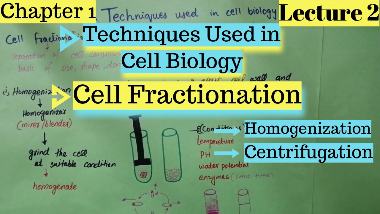 CELL FRACTIONATION | Homogenization | Centrifugation | Techniques Used in Cell Biology