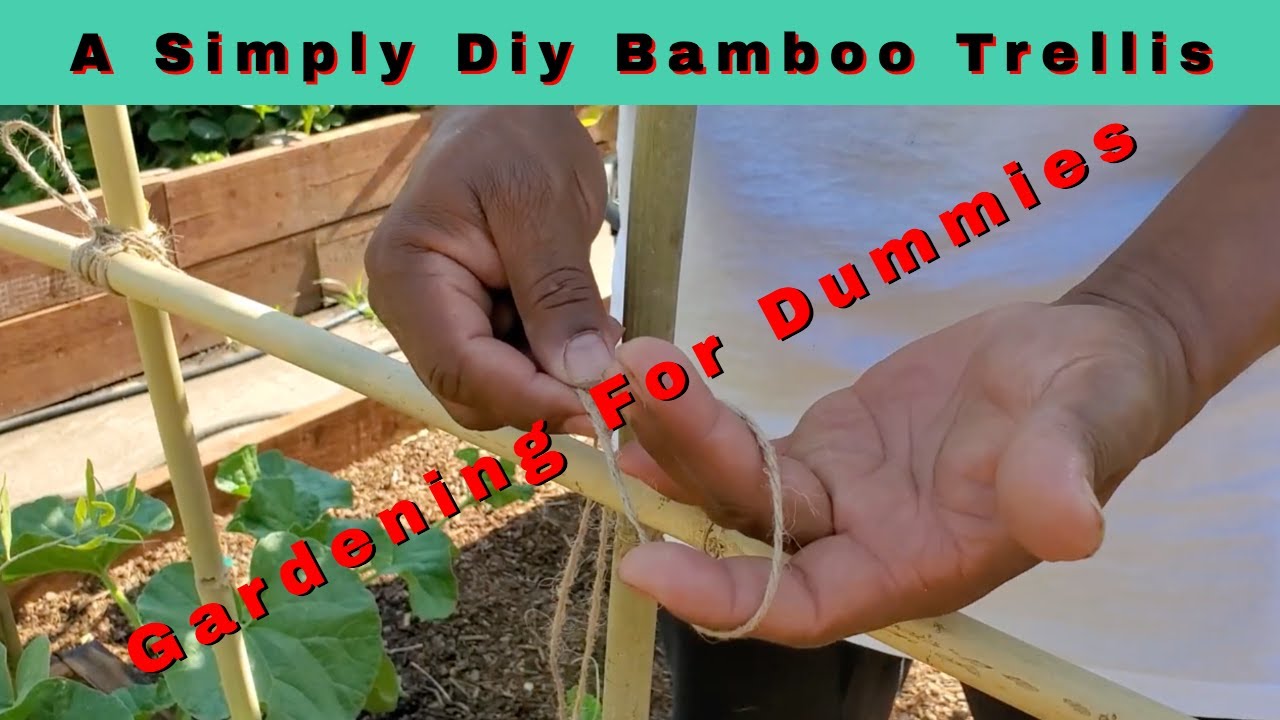 Как построить простую бамбуковую решетку #gardentrellis #diygardenideas
