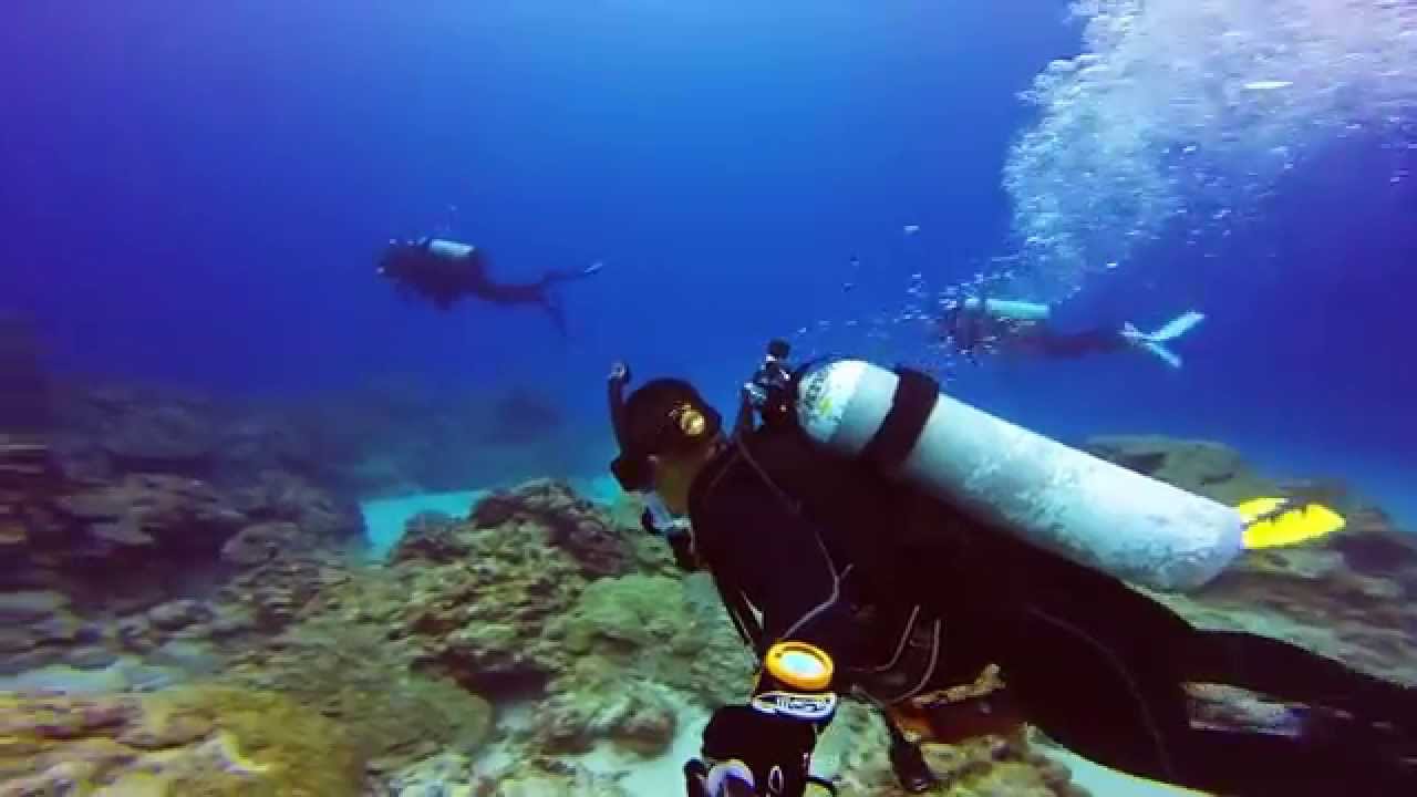 Okinawa Diving: The Kerama Islands and 