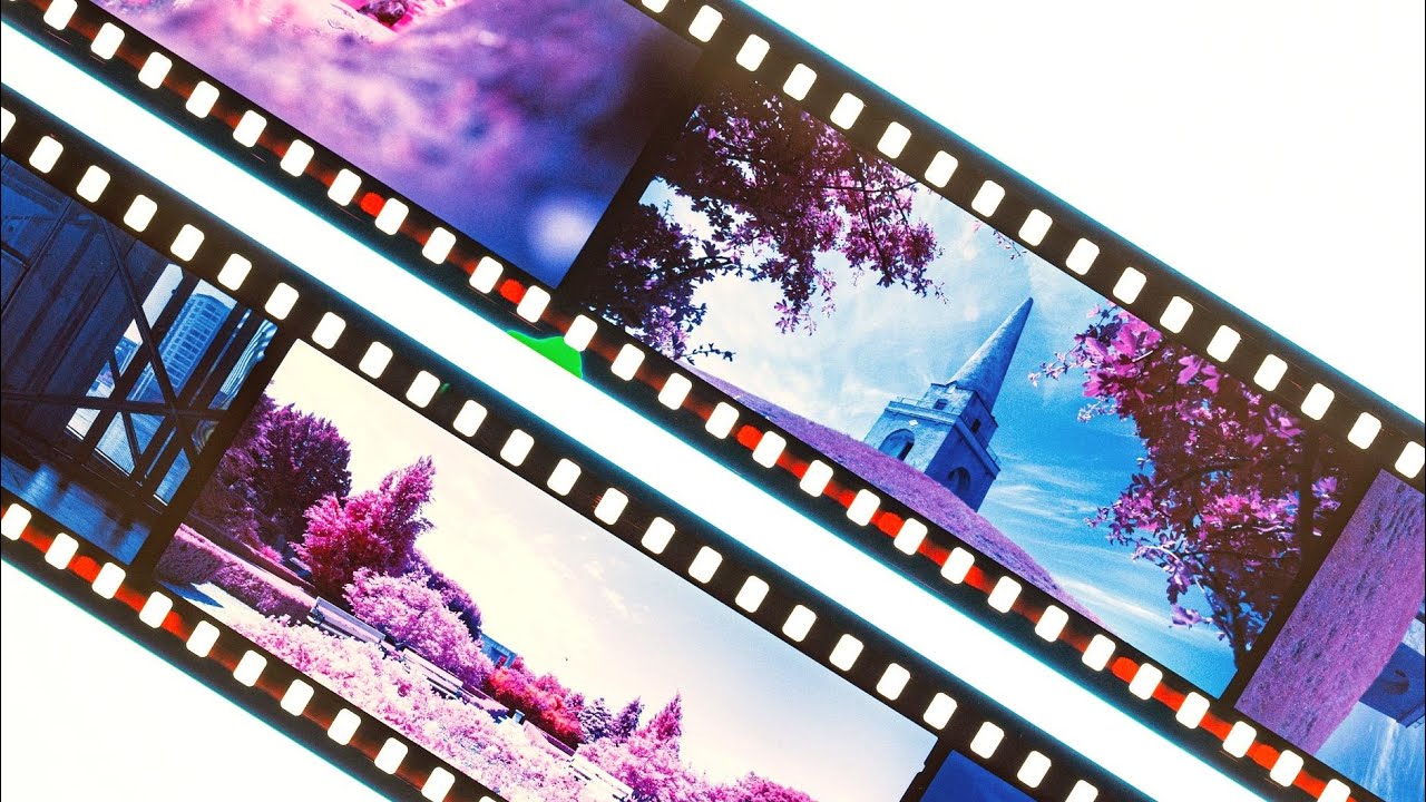 My First Roll of Kodak Aerochrome III, in the Hasselblad XPan II