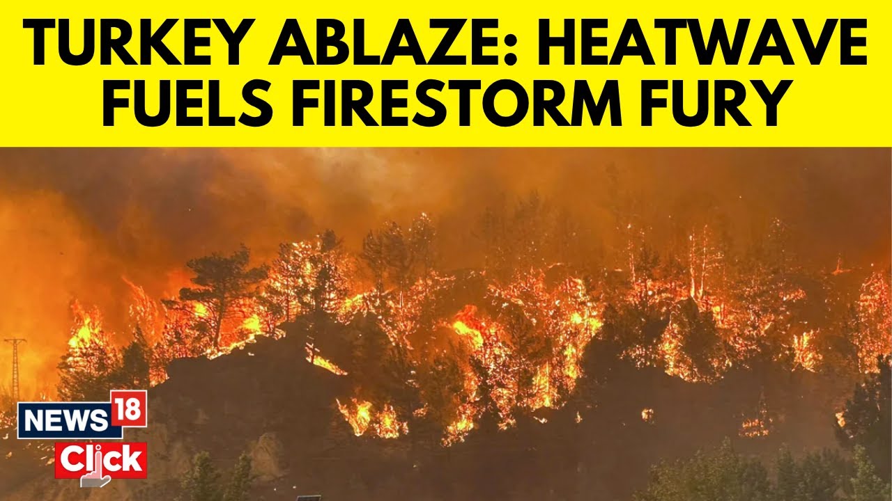 Turkey Wildfires Latest | Massive Forest Fires Burn Across Southwestern Coast | N18G | News18