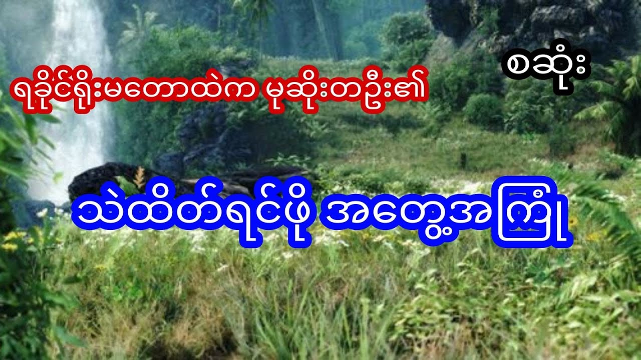ရခိုင်ရိုးမတောထဲက တောမုဆိုး တဦး၏ သည်းထိတ်ရင်ဖို အမဲလိုက် အတွေ့အကြုံ - စဆုံး
