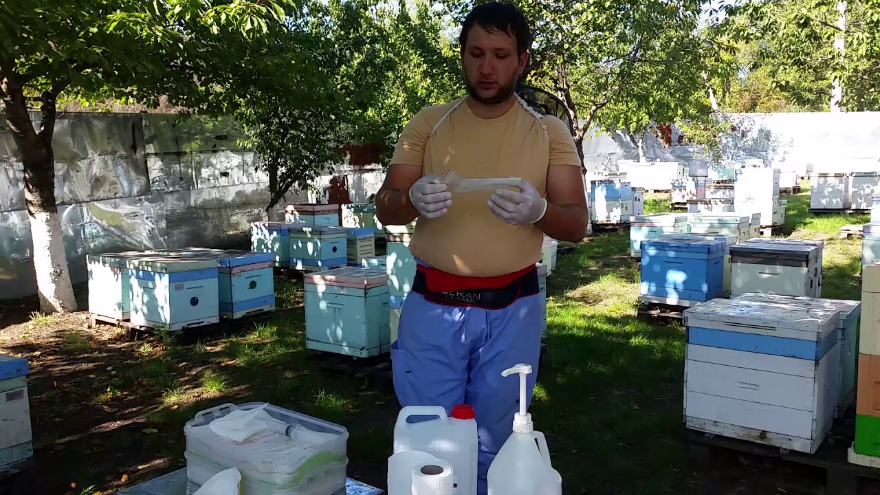 Tratamente contra VARROA  cu ACID FORMIC...