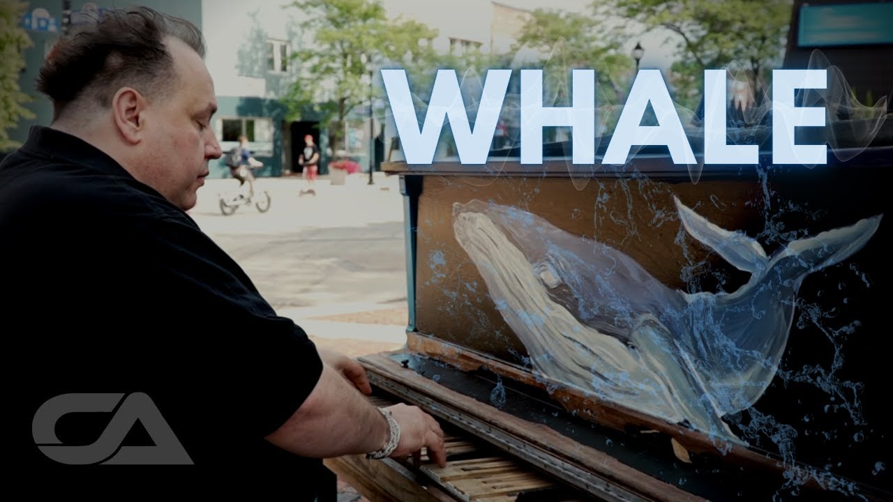 Whale. More Than Music, a journey to the depths. - Carlos Arco