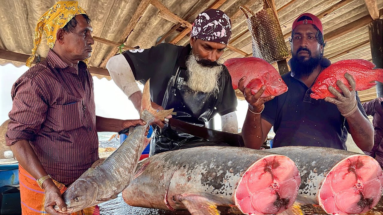 Master Cutters at Work! Big Fish Cutting Like a Machine.