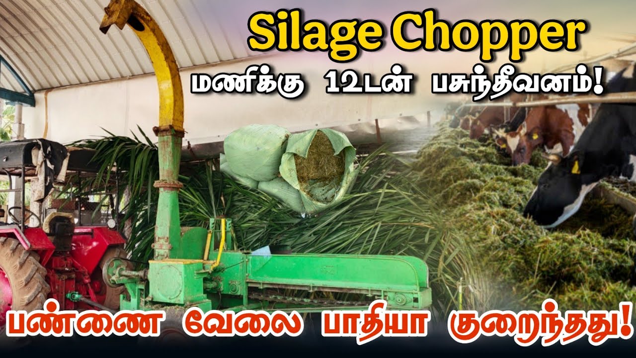 மணிக்கு 12 டன் பசுந்தீவனம் | Heavy Chaff cutter for Silage and dry fodder