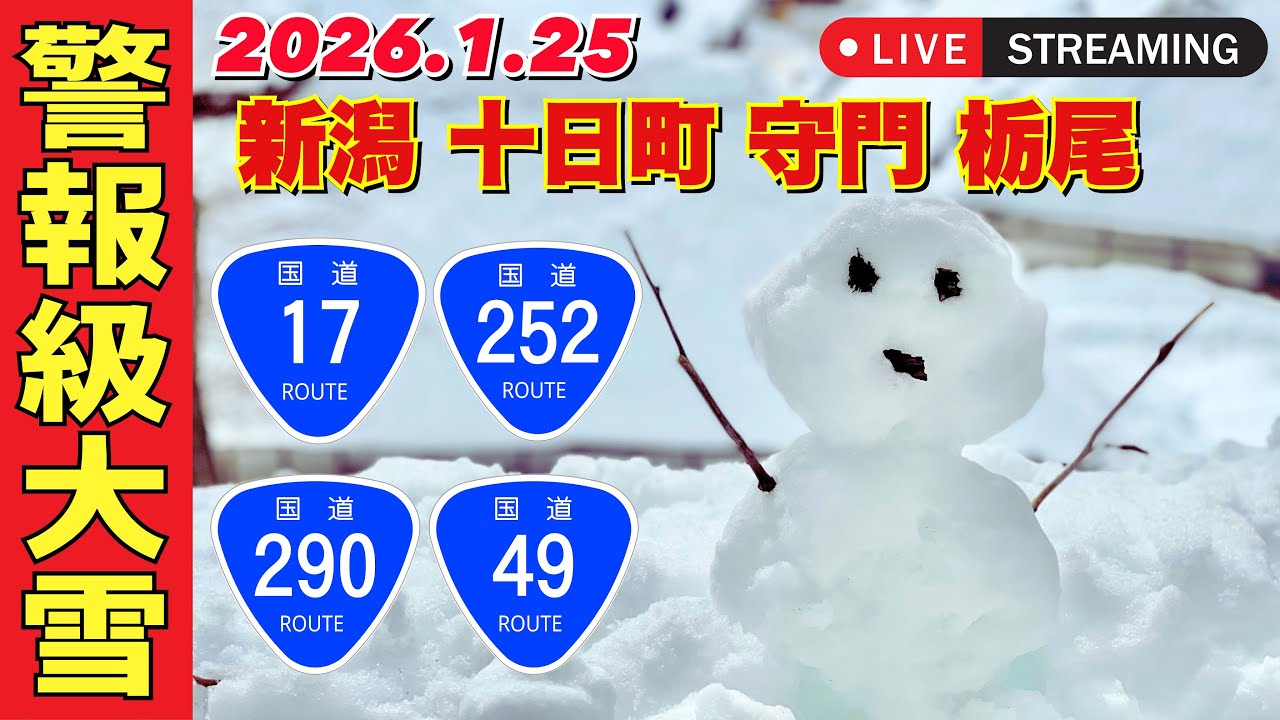 新潟 大雪ライブ｜十日町 魚沼 越後湯沢 三国峠 苗場｜主要道路を実況！ 国道17号線・国道117号線・国道253号線｜2026.1.25【ぴかーど47at】