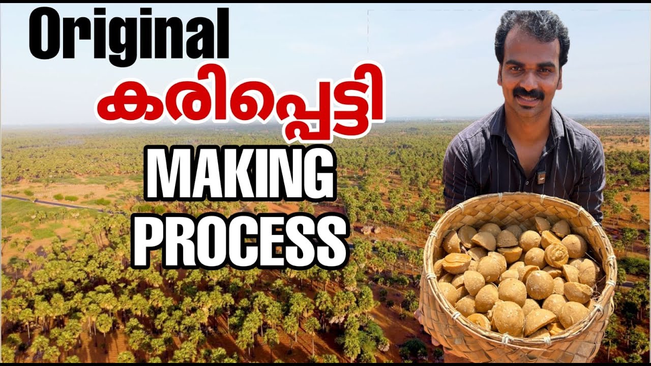 palm jaggery making process at home |original palm jaggery preparation