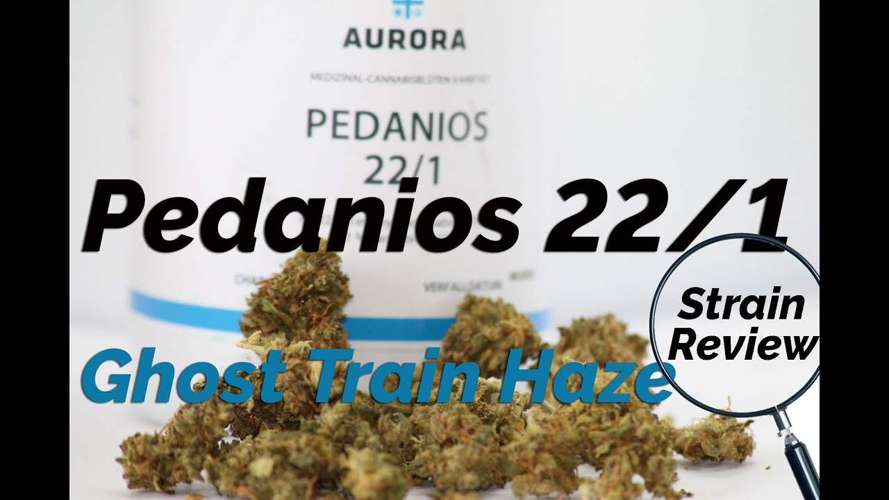 Pedanios 22/1 - Ghost Train Haze - Smell, taste, effect, terpen profile