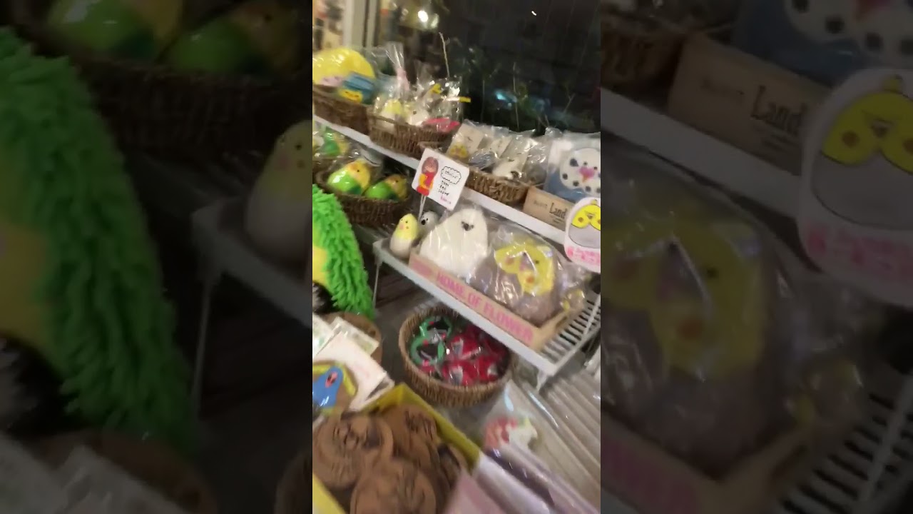 ことりカフェ表参道にいま〜す