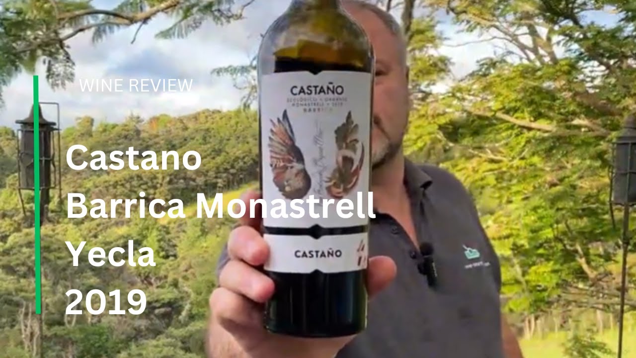 Wine Review: Bodegas Castano Barrica Monastrell, Yecla 2019